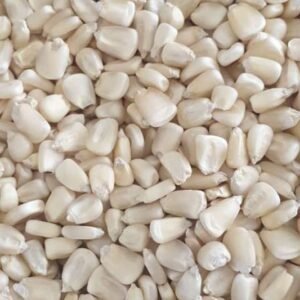 White Corn ? Paint Bucket