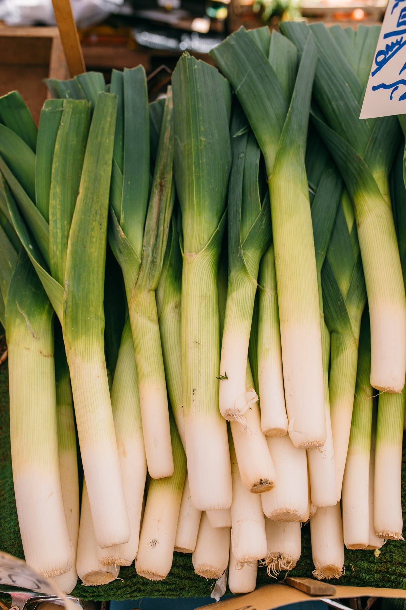 Leeks