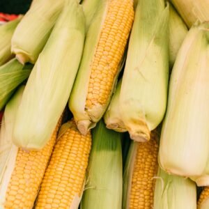 Corn On The Cob