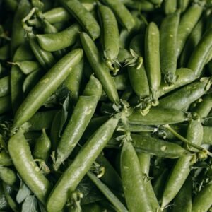 English Fresh Peas