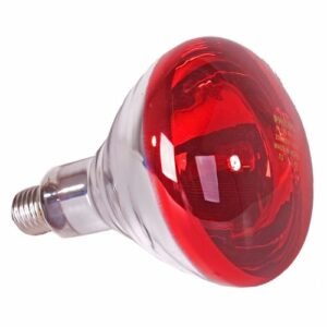 Heat Brooding Bulb (For Livestock | 220V | 250W)