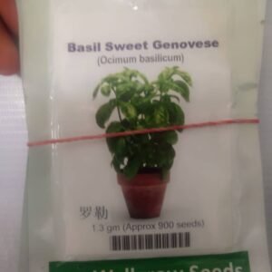 Basil Sweet Genovese | 900 seeds