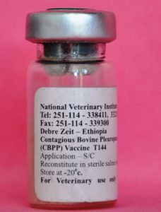 CBPP Vaccine (100 Doses Per Vial)