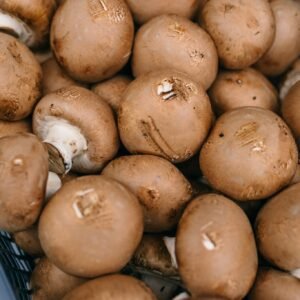 Chestnut mushroom