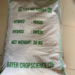 DK920 YELLOW Maize Seed ? High-Yield | 30KG Bag | DK920 Per KG |DK777 WHITE Maize Seeds |2KG
