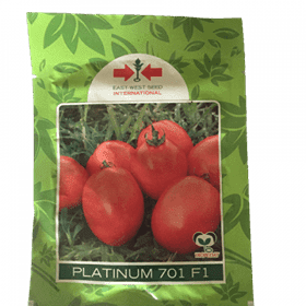 Platinum 701 F1 (100 Seeds) + Force up (1L) + Saaf (250g) + Free Nursery Bags (1Bundle)