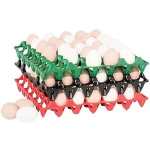 Plastic Egg Crate ? Bundle of 24 Pieces