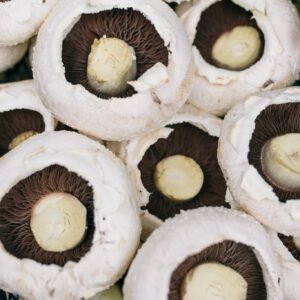 Flat mushroom
