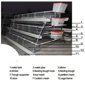 Imported Battery Cage with PVC feeder ? Various Birds Capacity- (Free Installation above 10unit)