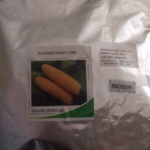 Golden Hybrid Sweetcorn (1kg)