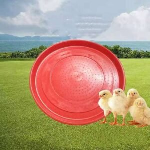 Ground Feeding Trays For Chicks
