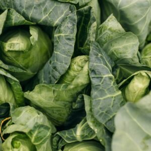 Hispi cabbage