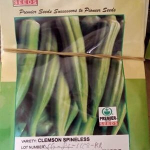 Clemson Spineless (Premier Seeds Brand | 20g | 100g)