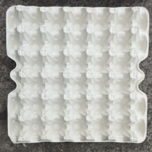 EKOPAK Water Resistant Egg Crates(100 Pcs)