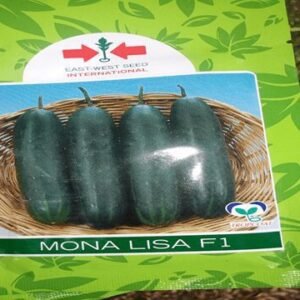 Mona Lisa F1 Cucumber Seeds (500 Seeds | 1000 Seeds)