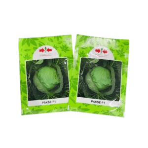 Pakse F1 Cabbage Seed (500 Seeds)