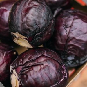 English Red cabbage