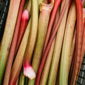 English Rhubharb