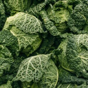 XL Savoy cabbage