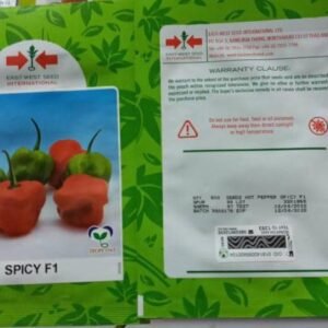 Spicy Hot pepper F1 | 500 Seeds