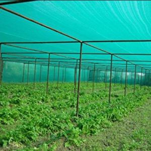 Greenhouse Shade Net ? UV Stabilized Agricultural Shade Net for Crop Protection