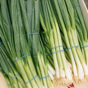 English Spring onions