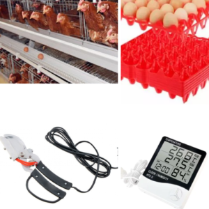 Specialized Combo Offer: Equip Your Point of Lay Birds