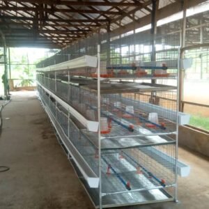 Locally Fabricated Battery Cages For Broilers ? Brooding Cage (3 Tiers | 300 Chicks | 84 Mature Birds)