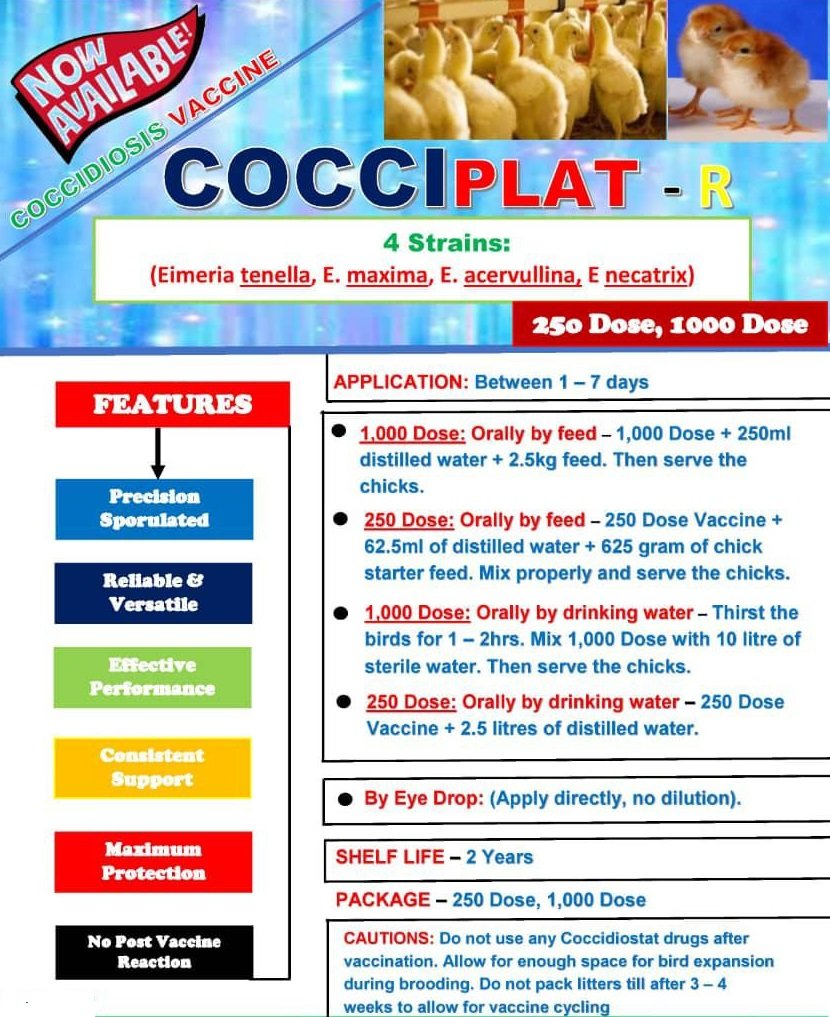 COCCIPLAT-R Coccidiosis Vaccine (Large Dose Vial |250 | 1000 ) + Transport Flask