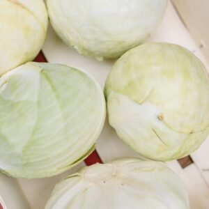 English White cabbage