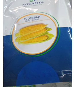 Avanta Sweet Corn Hybrix 53 | 250g