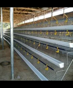 Locally Fabricated Battery Cage ? (Various Birds Capacity Battery Cage With Imported PVC Feeder)
