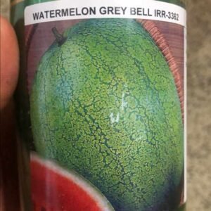Grifaton GreyBell Watermelon Seeds |  Hybrid