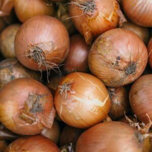 English Cooking onions