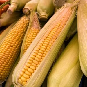 Winter Corn On The Cob