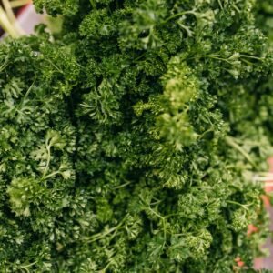 Fresh bunched parsley