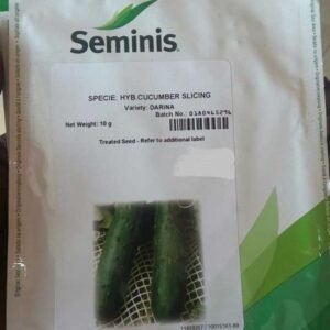 Darina Cucumber seeds | 10g