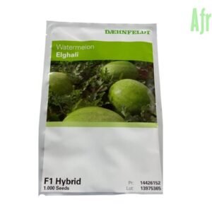 Elghali Watermelon F1 Seeds (Syngenta Brand |1000 Seeds)
