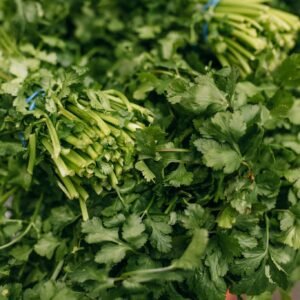 Fresh coriander