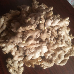 Ginger Seedlings (Rhizome Cuttings) -5kg Per Bag
