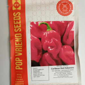 Caribbean Red Habanero Pepper