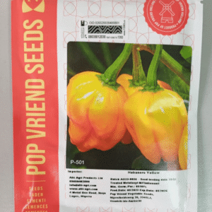 Habanero Yellow Seeds