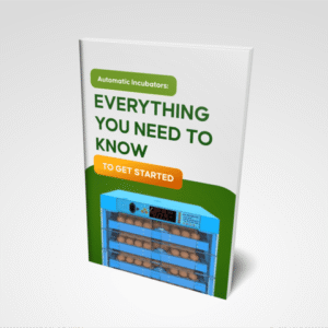 Automatic Incubators: Everything You Need to Know to Get Started (e-Book)
