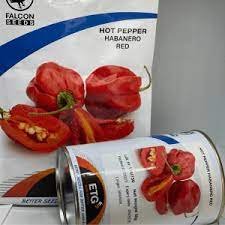 Bell Pepper Asti Red