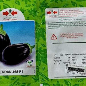 Merdan F1 | Eggplant | 500 Seeds