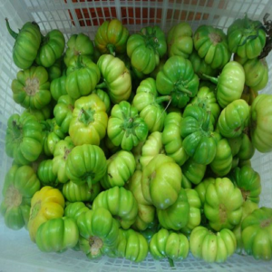 Garden Egg ? half paint