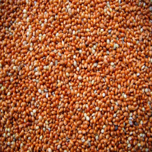 Red Millet