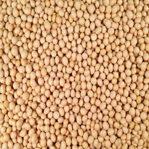 Soya Beans