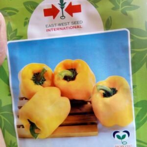 Sweet Pepper Nirmada F1 (Yellow Pepper)
