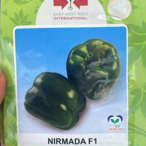 Nirmada F1 Bell Pepper Seeds | 500 seeds